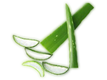 aloevera.png?v=1